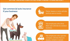 Commercial Auto Insurance – Who Can Insure Your Vehicles?