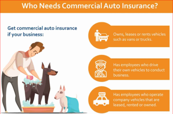 Commercial Auto Insurance – Who Can Insure Your Vehicles?