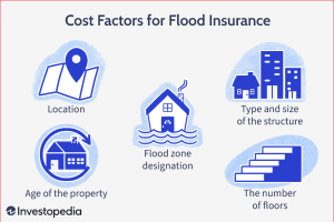 Flood Insurance Policies
