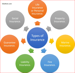 Types of Insurance and Their Importance