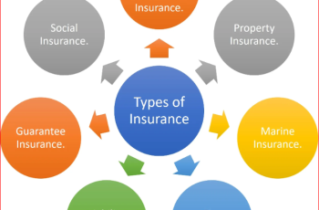 Types of Insurance and Their Importance