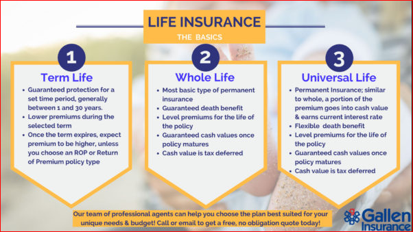 Life Insurance Basics