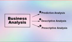 The Main Types Of Business Analyses