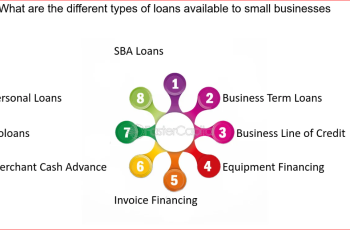 Small Business Types – What Are the Options?