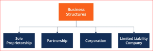 Popular Business Structure